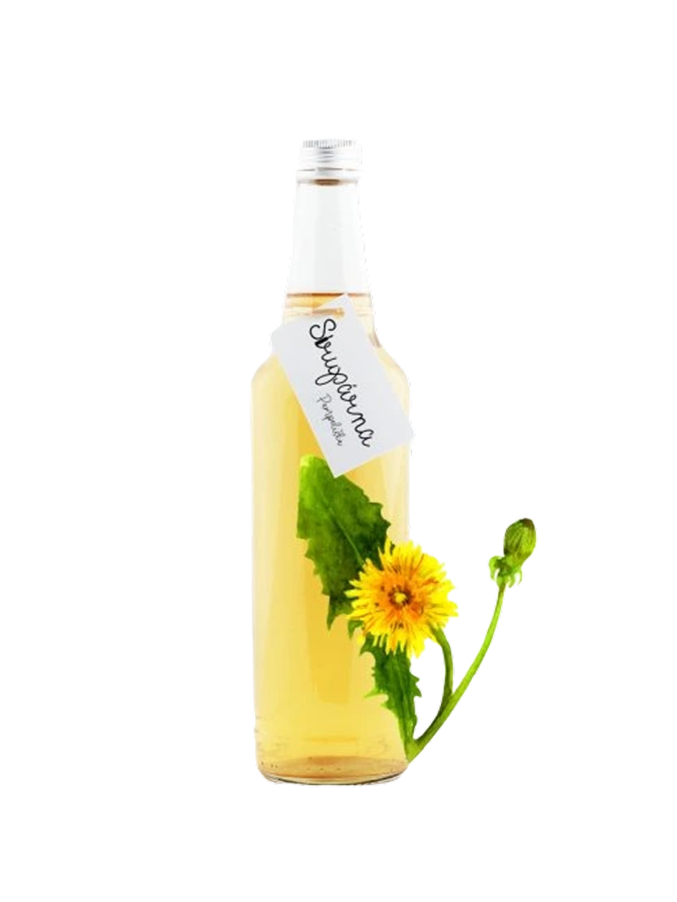 Pampeliška
