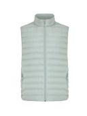 Iceberg green
