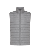 Silver gray