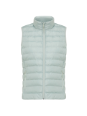 Iceberg green