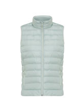 Iceberg green