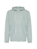Iceberg green
