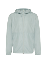 Iceberg green